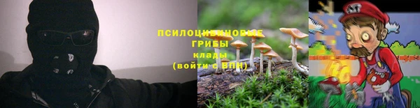 круглые Алексин