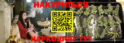 бошки Шелехов