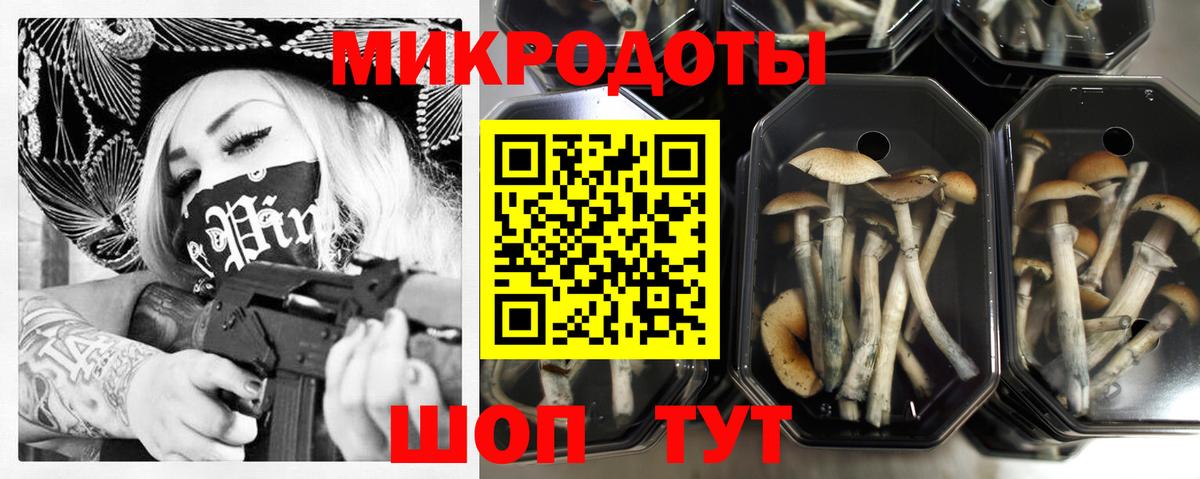 купить  сайты  Псилоцибиновые грибы GOLDEN TEACHER  Вход с VPN  Слободской 